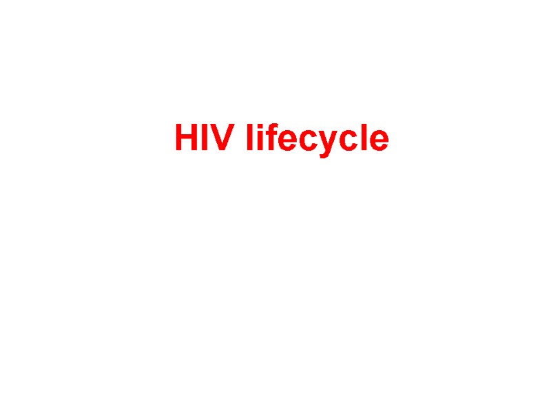 HIV lifecycle